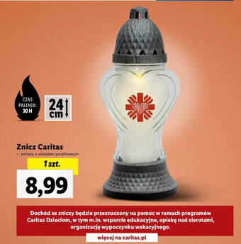 Lidl Znicz Caritas oferta