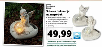 Lidl Solarna dekoracja na nagrobek oferta