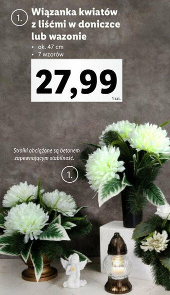Lidl Wiązanka kwiatów z liśćmi w doniczce oferta