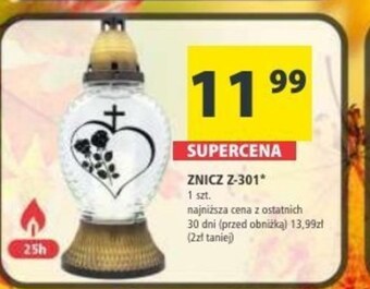 Arhelan Znicz oferta