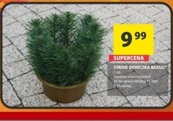 Arhelan Stroik oferta