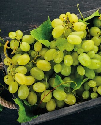 Topaz Winogrona oferta