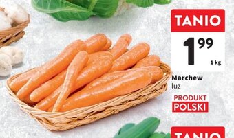 Intermarche Marchew luz 1 kg oferta
