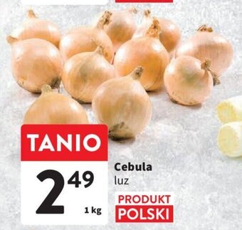 Intermarche Cebula luz 1 kg oferta