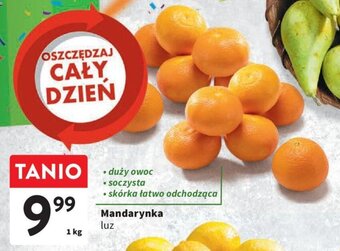 Intermarche Mandarynka luz 1 kg oferta