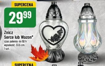 Polomarket Znicz Serce lub Wazon oferta