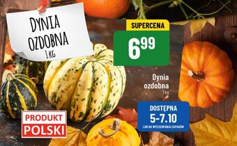 Polomarket Dynia ozdobna 1kg oferta