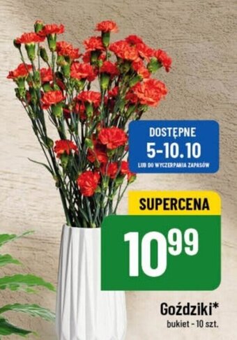 Polomarket Goździki bukiet - 10 szt. oferta