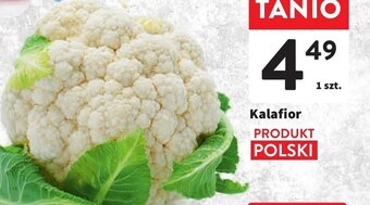 Intermarche Kalafior oferta