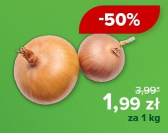 Barbora Cebula oferta