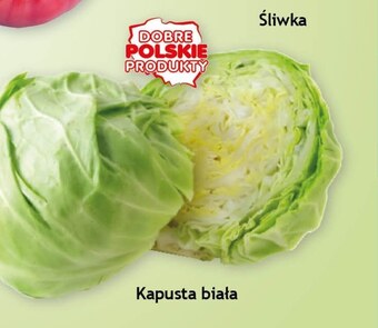 Gram Market Kapusta oferta