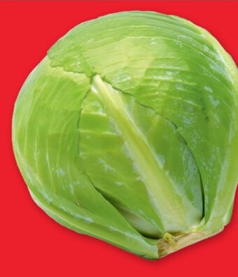 Selgros Kapusta oferta