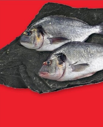 Selgros Dorada oferta