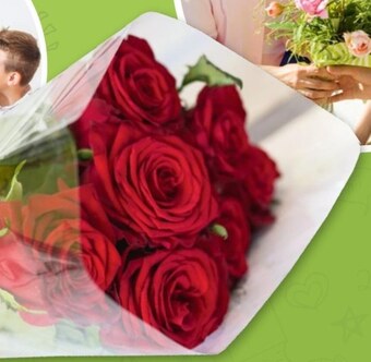 Selgros Róża oferta