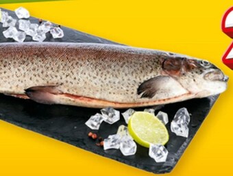 Auchan Pstrąg tęczowy oferta