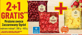 Polomarket Mrożone owoce Zaczarowany Ogród 300-450g oferta