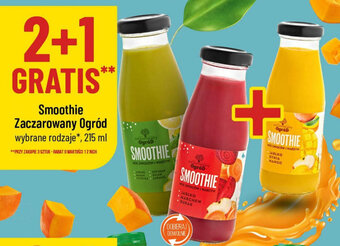 Polomarket Smoothie Zaczarowany Ogród 215 ml oferta