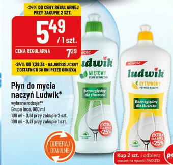 Polomarket Płyn do mycia naczyń Ludwik Grupa Inco, 900 ml oferta