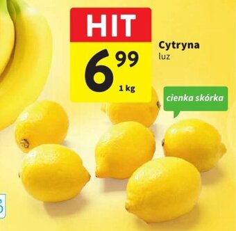 Intermarche Cytryna luz 1 kg oferta