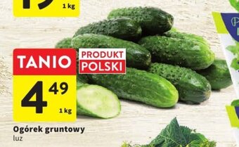 Intermarche Ogórek gruntowy luz 1 kg oferta