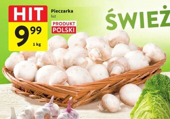 Intermarche Pieczarka luz 1 kg oferta
