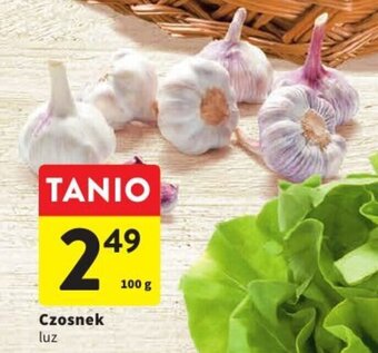 Intermarche Czosnek luz 100 g oferta