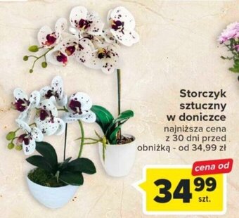 Carrefour Storczyk sztuczny w doniczce oferta