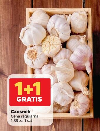 Netto Czosnek oferta