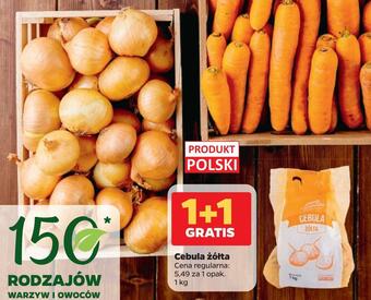 Netto Cebula żółta oferta