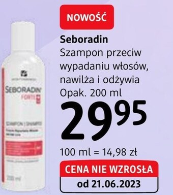 dm drogerie markt Szampon oferta