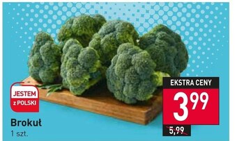 Stokrotka Market Brokuł oferta