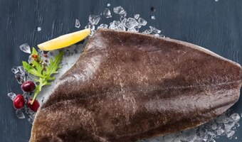 Kaufland Halibut oferta