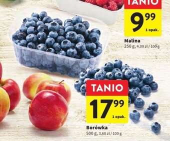 Intermarche Borówka 500 g oferta
