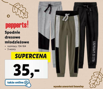 Lidl Spodnie dresowe młodzieżowe oferta