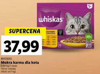Lidl Mokra karma dla kota oferta