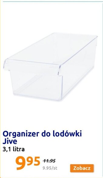 Action Organizer do lodówki Jive 3,1 l oferta