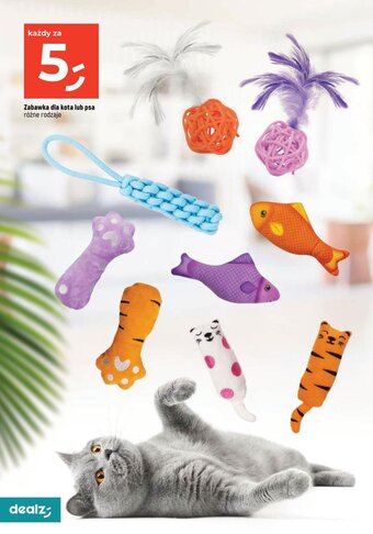 Dealz Zabawka dla kota lub psa oferta