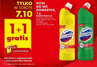 Biedronka PŁYN DO WC DOMESTOS, 1 L oferta