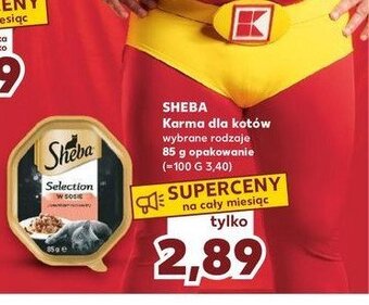 Kaufland Karma dla kota z łososiem w sosie oferta