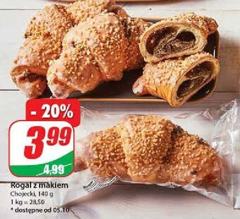 Dino Rogal z makiem oferta