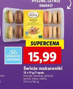 Lidl Makaroniki 12 szt. oferta