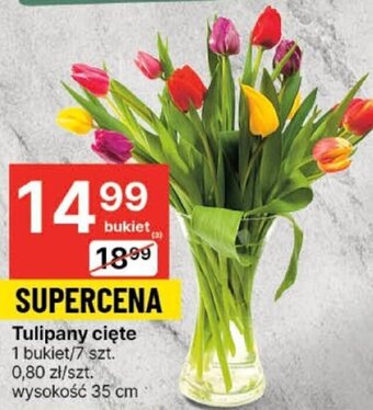 Delikatesy Centrum Tulipany cięte 7szt. oferta