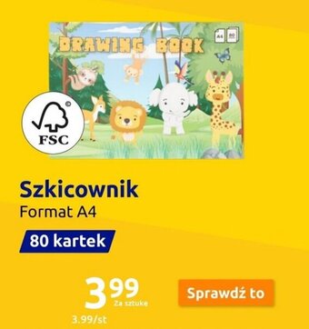 Action Szkicownik oferta
