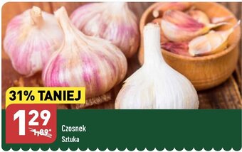 ALDI Czosnek Sztuka oferta