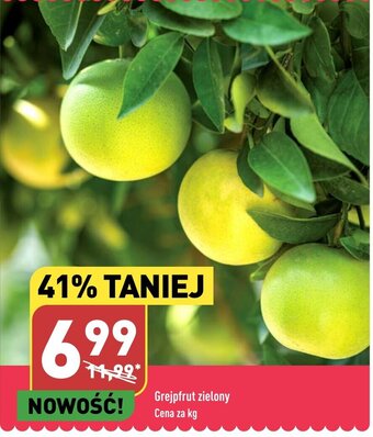 ALDI Grejpfrut zielony 1 kg oferta