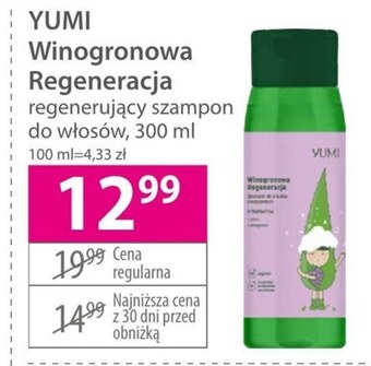 Hebe Szampon oferta