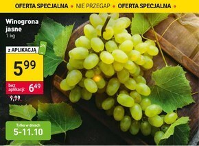 Stokrotka Market Winogrona oferta