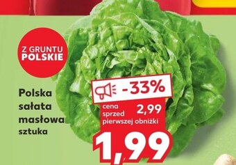 Kaufland Sałata masłowa oferta