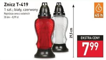 Stokrotka Znicz T-419 oferta