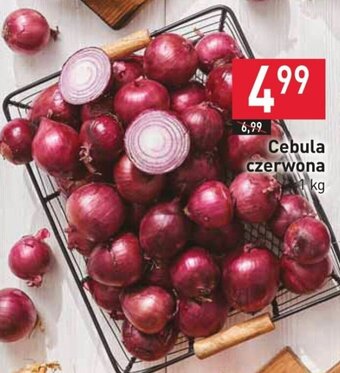 Stokrotka Cebula czerwona 1 kg oferta